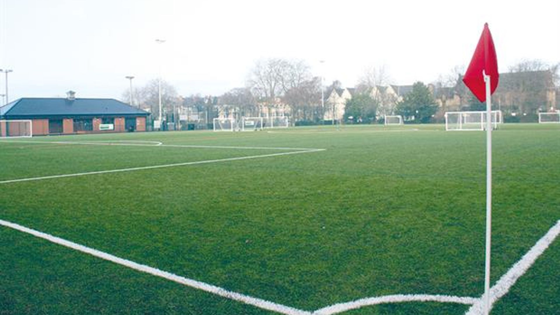 Forest Sports Zone