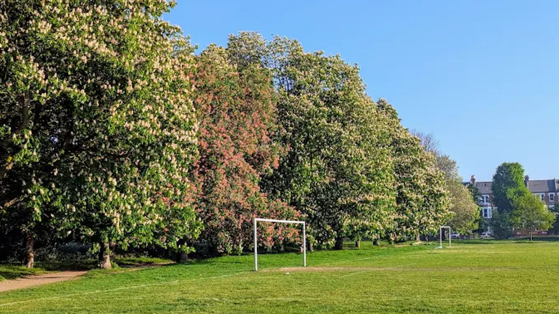 Clapham Common